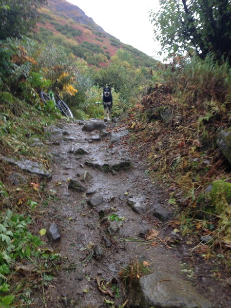 One of the many rocky climbs