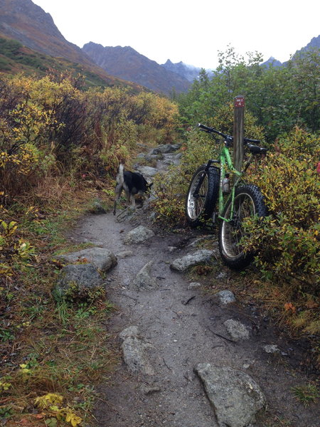 Another one of the rocky sections on Gold Mint Trail.  Mile marker 4