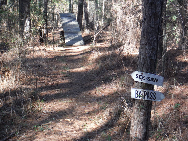 About a mile into the main trail is this see-saw offering a fun obstacle or you can opt for the by-pass.