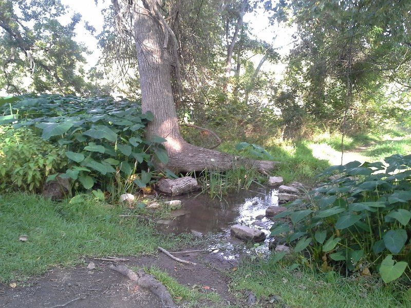 The Goodwater Loop creek crossing at Crockett Garden