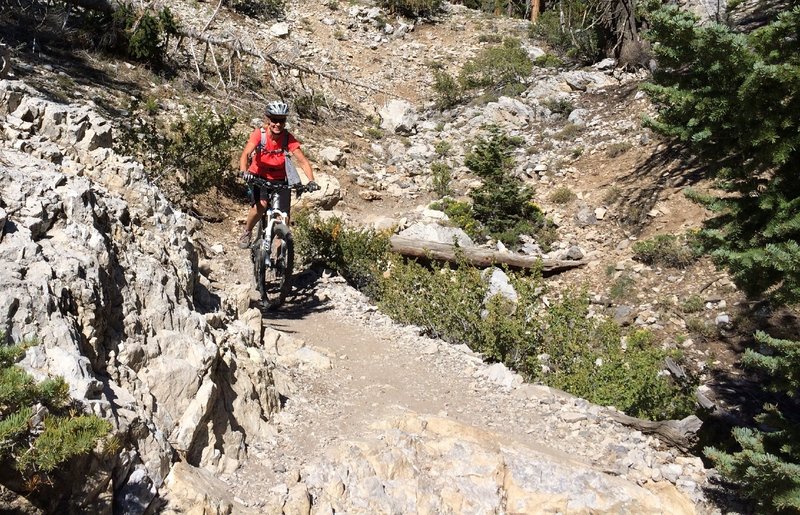 Upper Bristlecone Trail