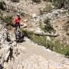 Upper Bristlecone Trail