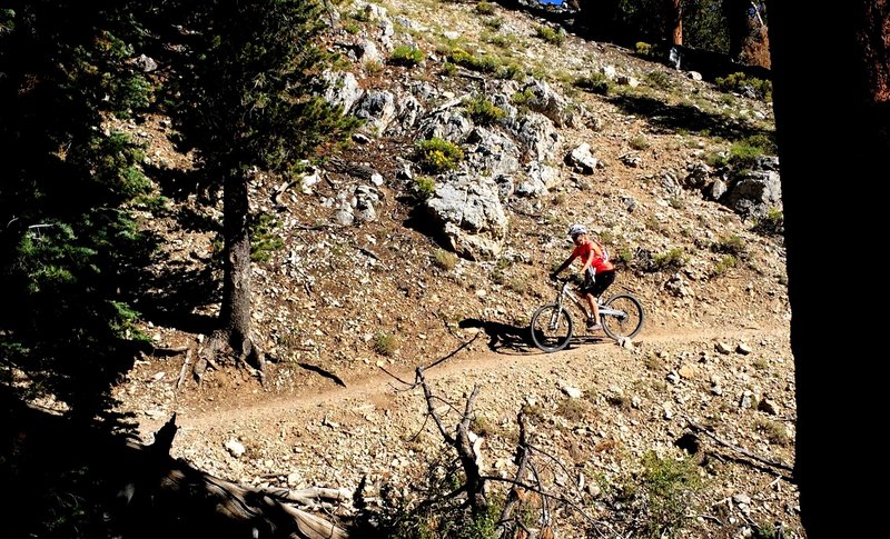 A smooth section of the Upper Bristlecone Trail