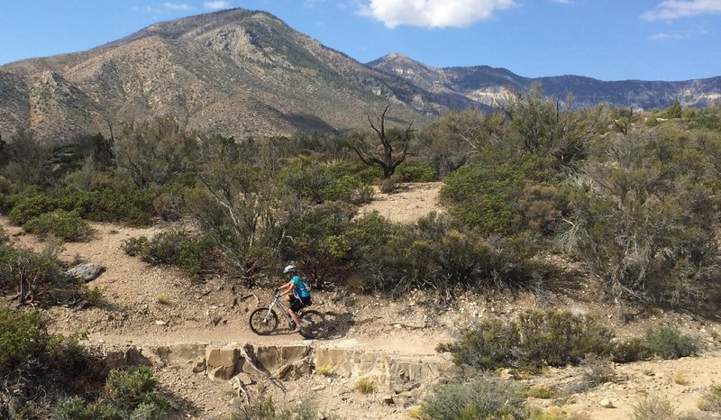 Great scenery riding up the ShowGirl Trail