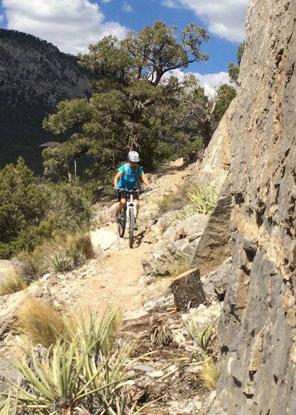 Sharp limestone cliffs skirt the ShowGirl Trail