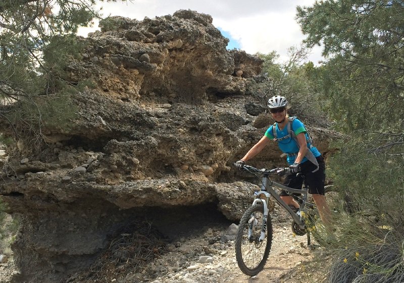 An unusual conglomerate rock formation near the bottom of ShowGirl