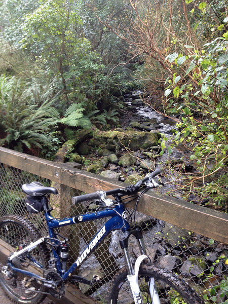 Lindsay Creek in Bethune's Gully.