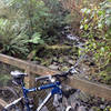 Lindsay Creek in Bethune's Gully.