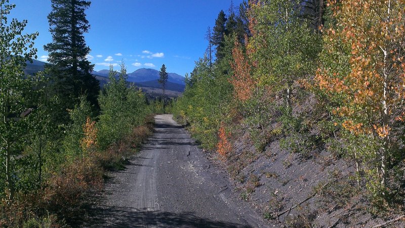 Primitive Gold Run Road doubletrack