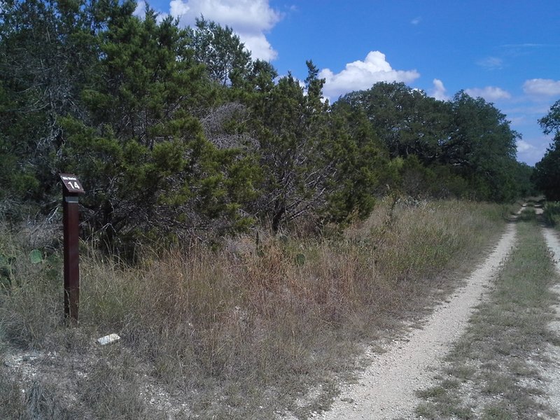 Mile Marker 14 along Booty's Road