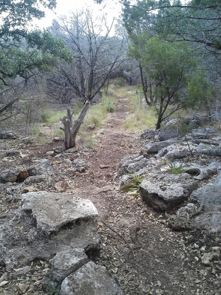 One of the few technical sections just west of the Russell Park Trailhead