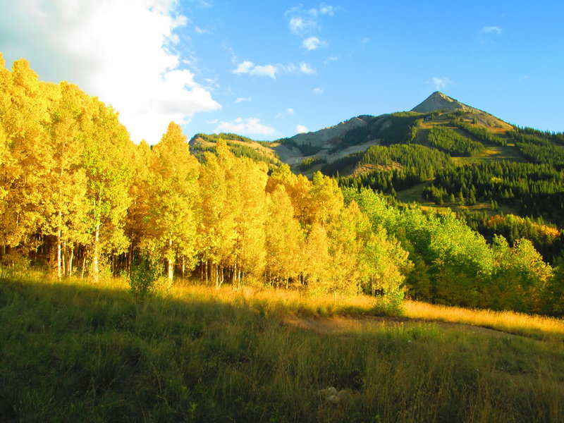 Fall color on Awakening