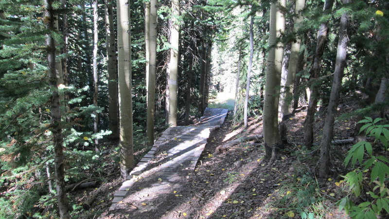 Ramp on Wood's Trail