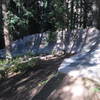 Ramp feature on Wood's Trail