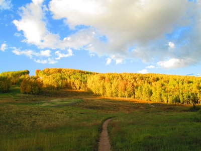 Evening singletrack on Lower Awakening