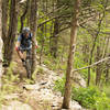 Making a way through the trees along the North Upper Trail at Blowing Springs.