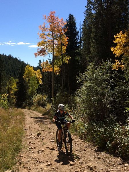 Buffalo Trail is just a climb up a dirt road... though pretty in spots