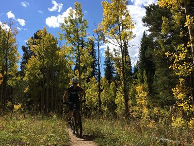 Short sections of nice singletrack separated by LOTS of loose rocks