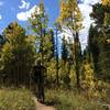 Short sections of nice singletrack separated by LOTS of loose rocks