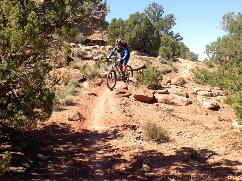 Nice mix of dirt singletrack and slickrock on this section