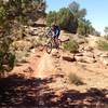Nice mix of dirt singletrack and slickrock on this section