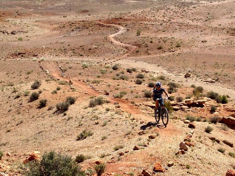 Wondering how long it took to move SO many rocks to line this trail...