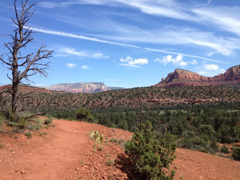 At the base of Cathedral Rock