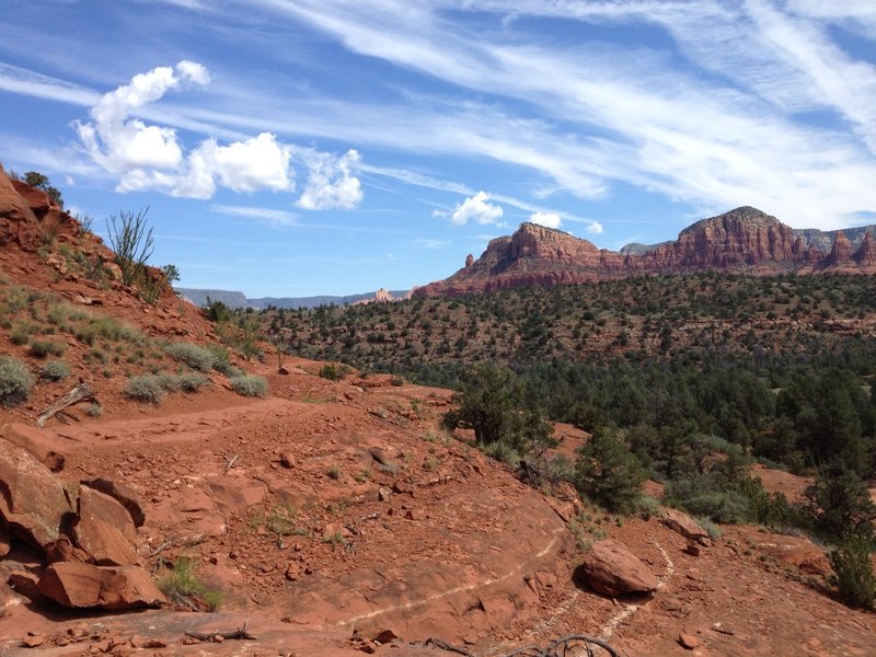 At the base of Cathedral Rock