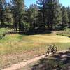 These ponds, or "reservoirs" are typical throughout the Turkey Springs area.  This smooth singletrack is also typical.