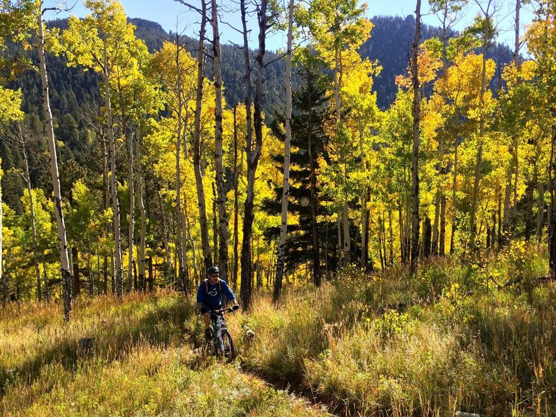 It's a nice climb on smooth trail, to say nothing of the aspens!