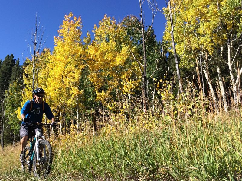 More climbing, more aspens...