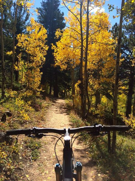 Easy cruising on Blue Grouse Trail