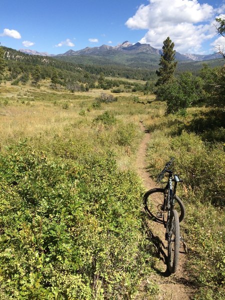 Great views and fun singletrack on Coyote Hill Loop.