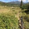 Great views and fun singletrack on Coyote Hill Loop.