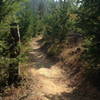 Approaching the high point on Ridge View trail.