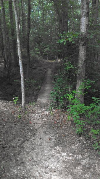 There are numerous bridges to simplify creek and mud crossings.  Trails are well marked.