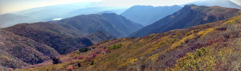 Fall colors on Southern Skyline Trail