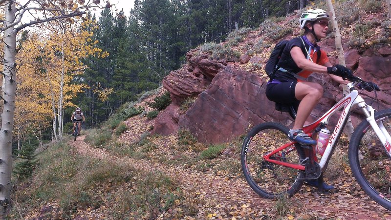 Baker's Tank Trail, Breckenridge