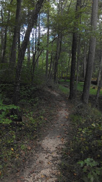 Pleasant ride.  Here the trail follows a creek and a nice section of woods.