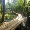 Bridge built by the EEL group volunteers