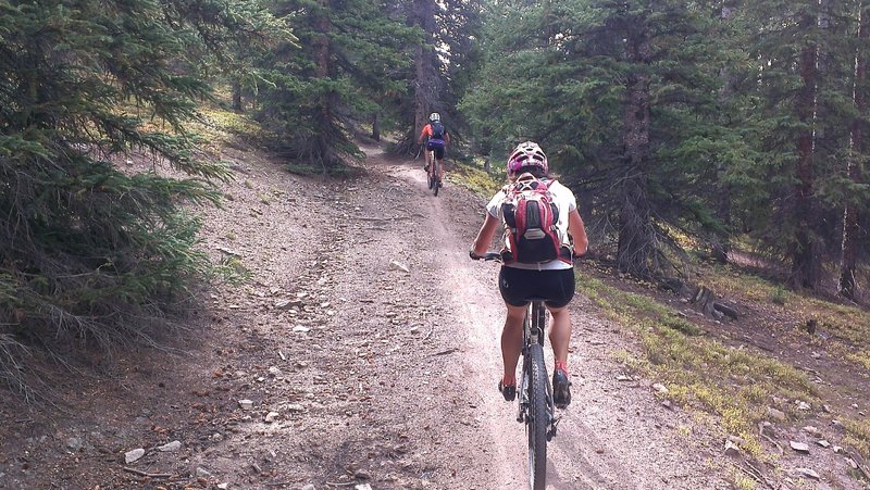 Following wheels up Pinball Alley singletrack.