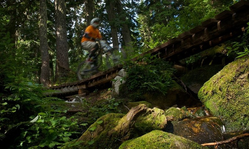 Idyllic brooks and wood bridges.