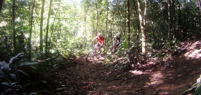 The "Wasteland" trail, Bukit Kiara, Malaysia