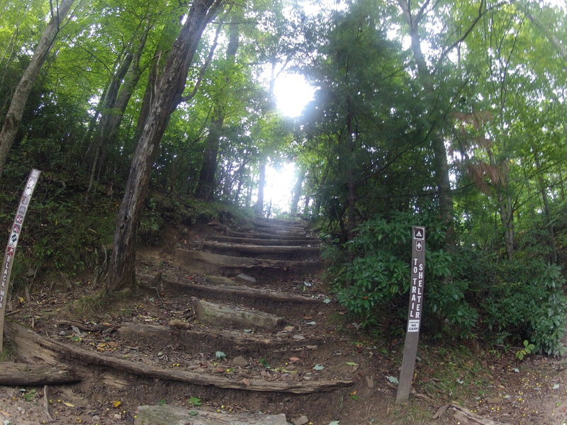 Gnarly steps on Black Mountain descent.