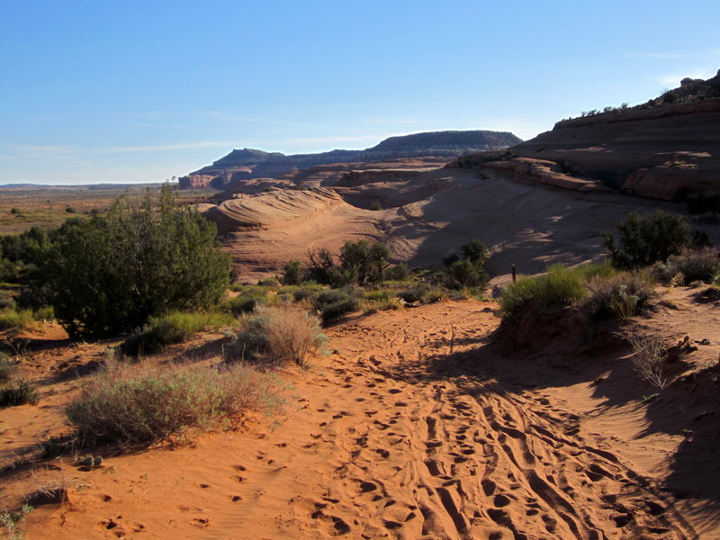 The sand crossing along the Bartlett Wash slickrock.