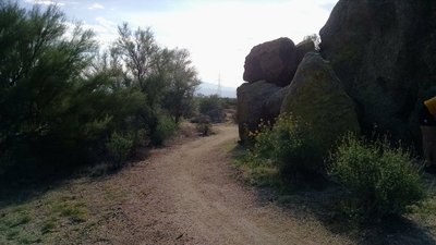 Just leaving lone mountain trailhead towards cholla mtn loop