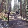 Hermit Placer intersection with Moonstone and Carter Park trails.