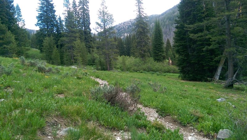 Snow up ahead on Willow Creek Trail