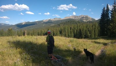 Beckwith Pass trail