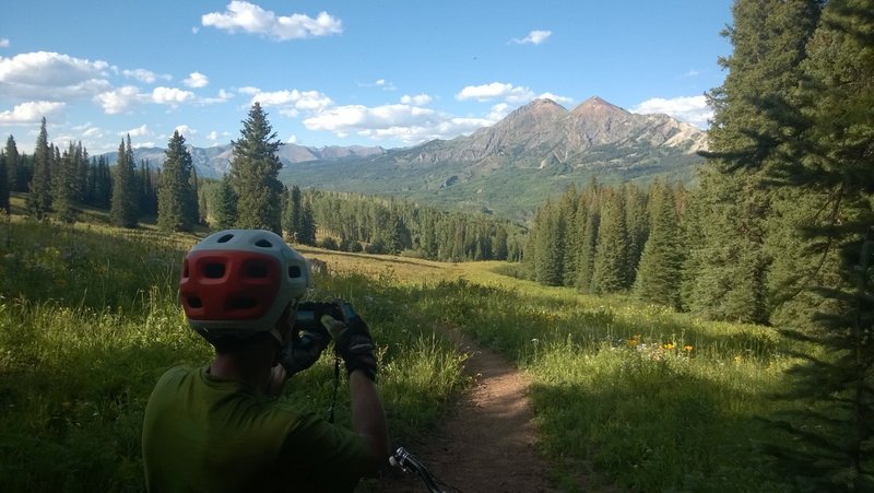 Fantastic views of the Ruby range from the Cliff Creek trail.